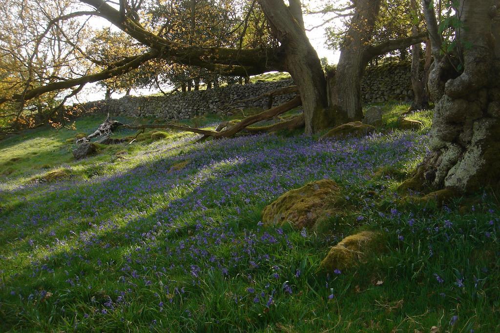 Littlebank Country House Settle Εξωτερικό φωτογραφία